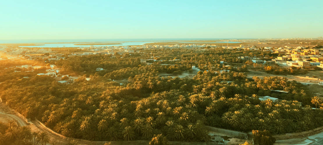 Рас-эль-Хайма: жизнь в самом зеленом эмирате