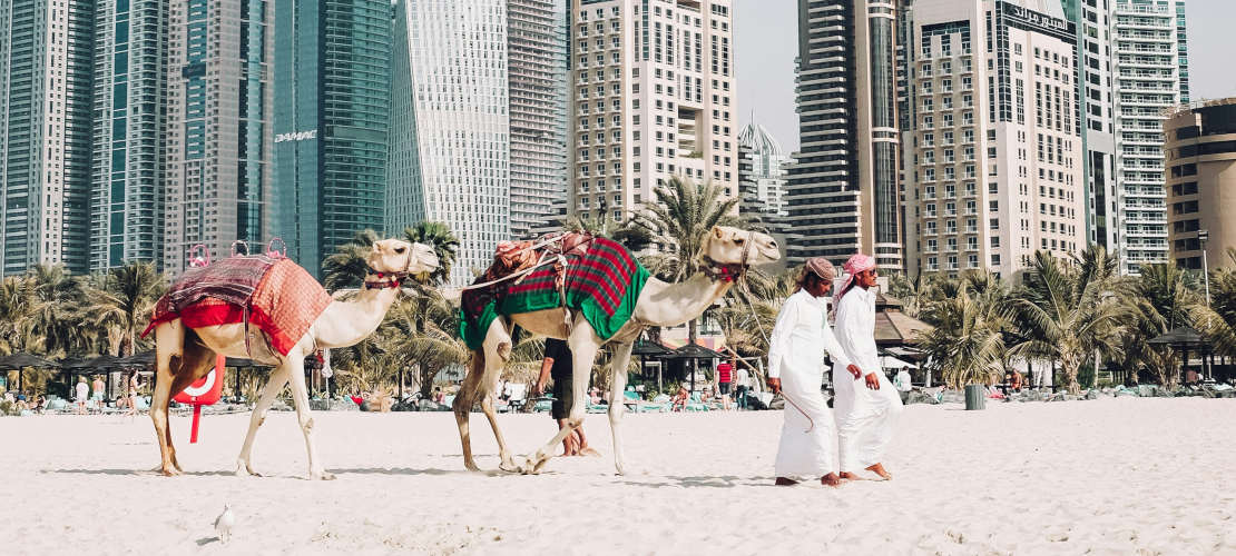 Население Дубая: численность, состав, факторы роста