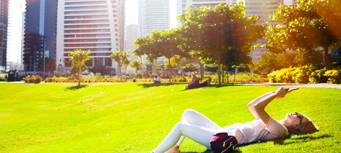 Неповторимые парки в Дубае: виды, описание и фото