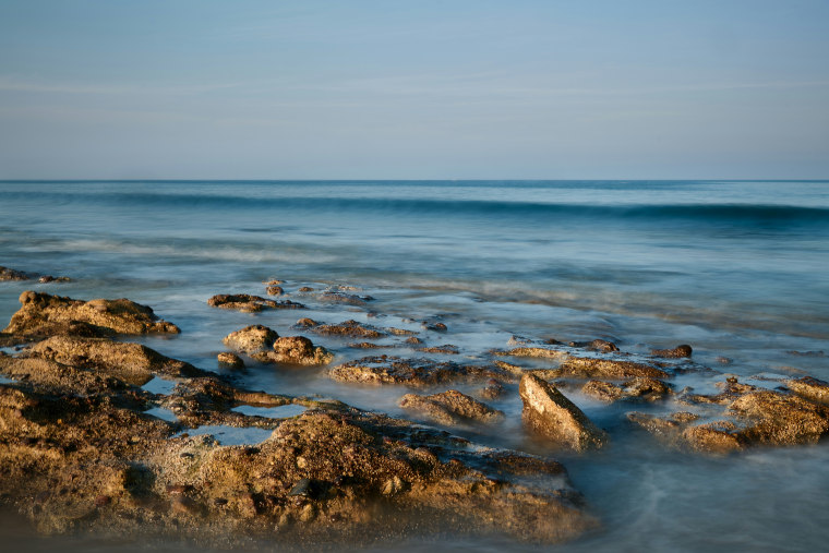 Which waters wash the UAE