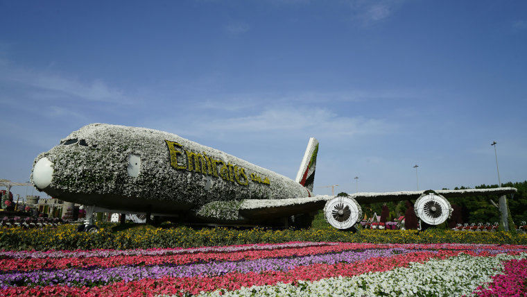 Miracle Garden