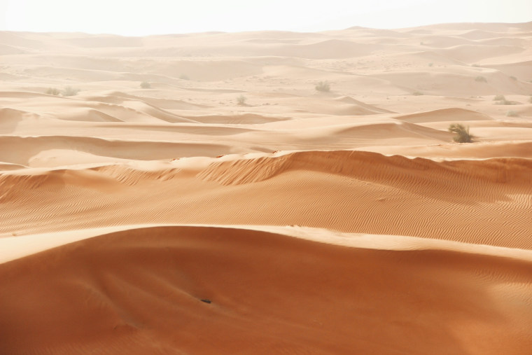 Which Desert Surrounds Dubai