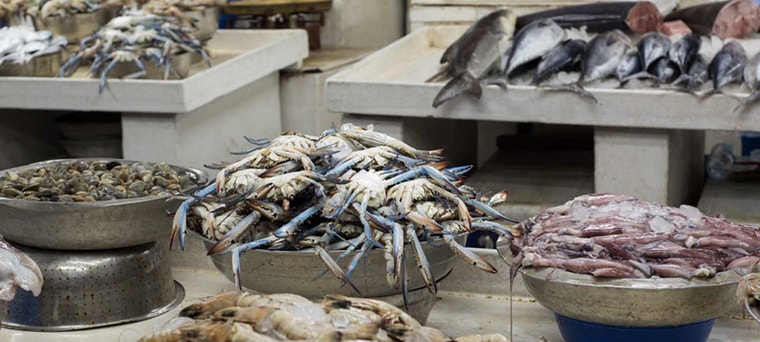 Fish Market in Sharjah