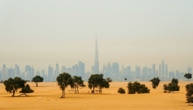 The Best Places for Photo Shoots in the Desert
