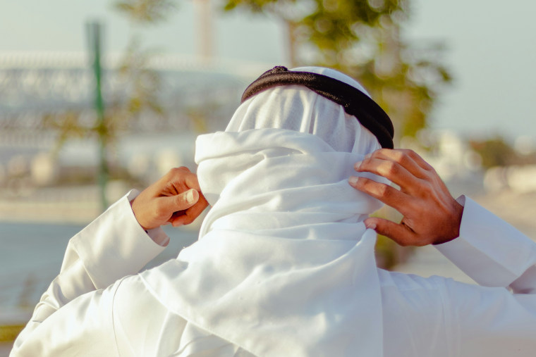 Specifics of the UAE Government Structure