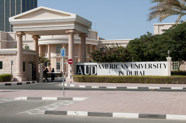 Infrastructure of Al Sufouh