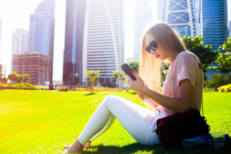 Main Telecommunication Operators in the UAE Main Telecommunication Operators in the UAE