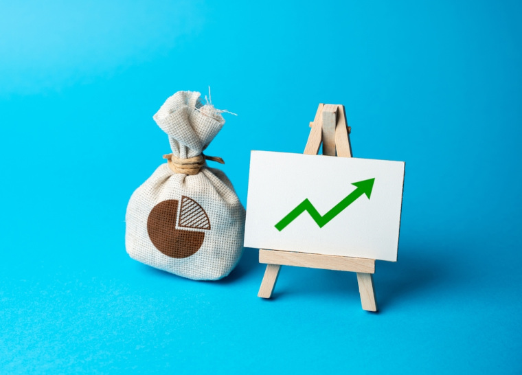 General Characteristics of the UAE Economy